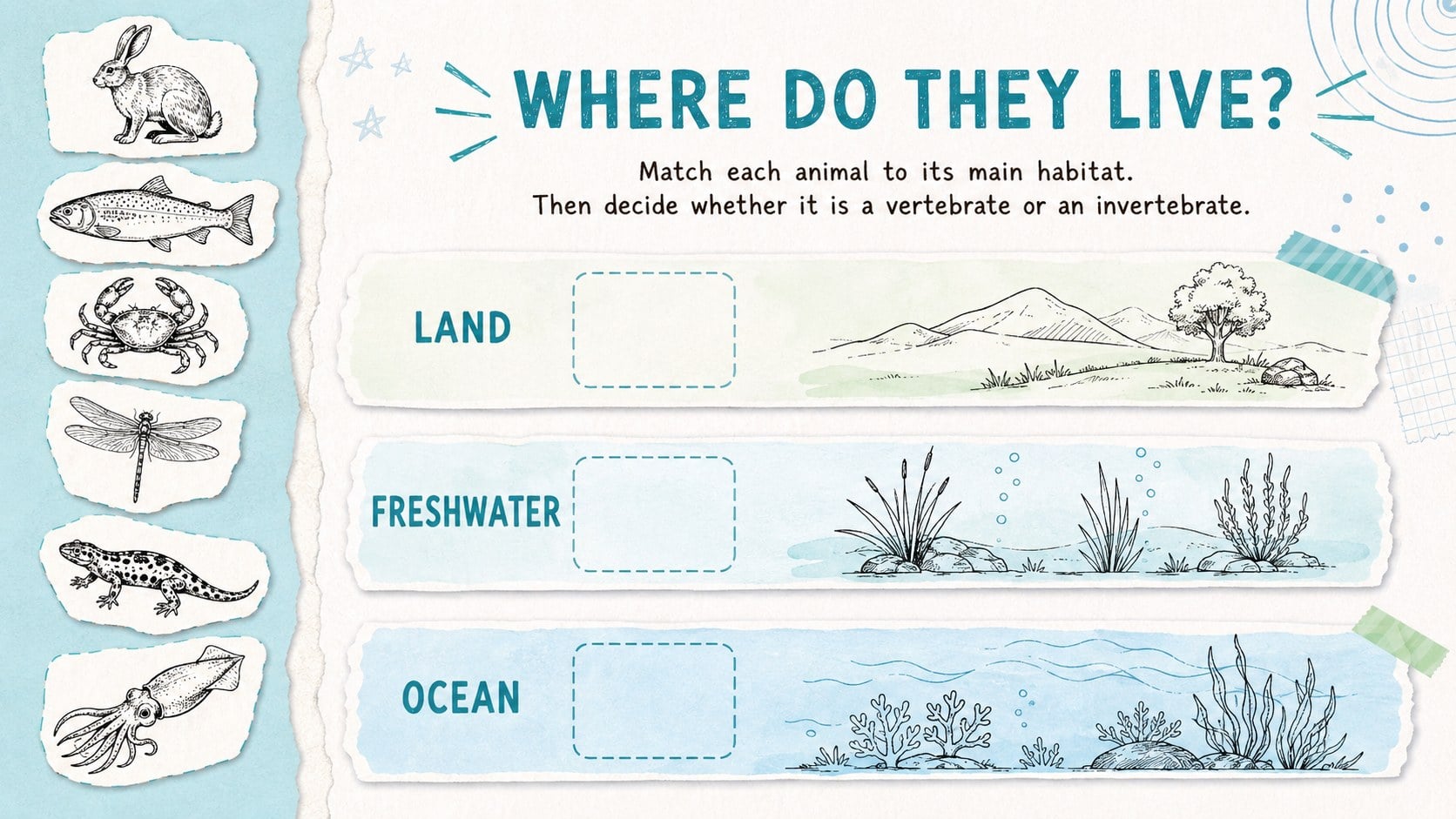 Animal Classification Biology Lesson Deck presentation template, slide 13