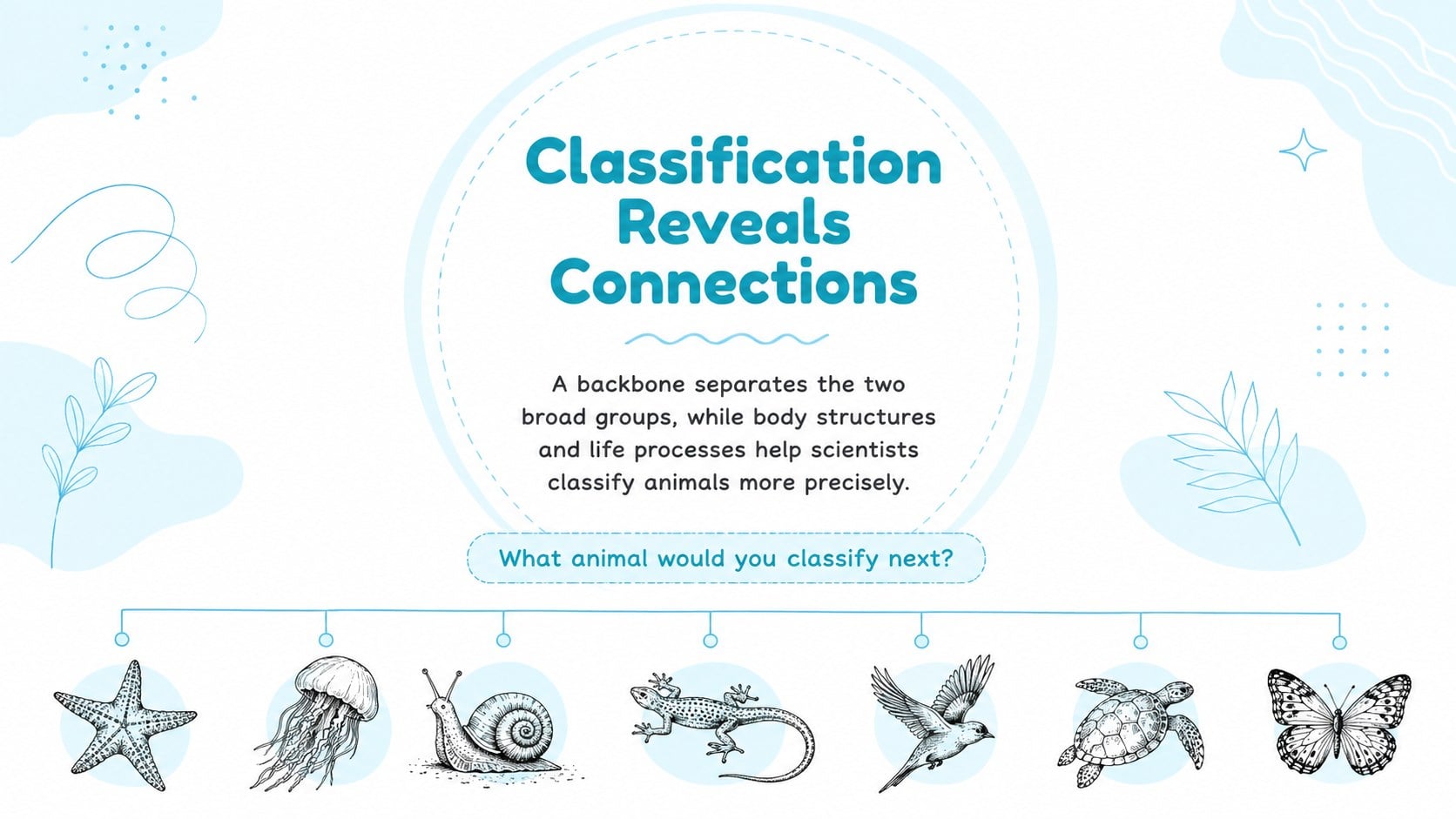 Animal Classification Biology Lesson Deck presentation template, slide 15