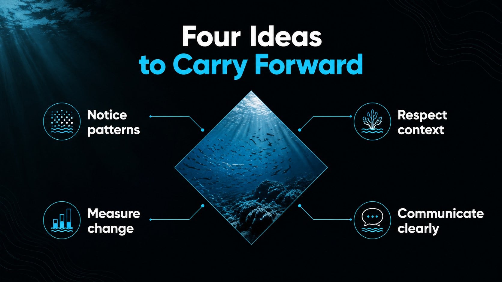 Aquatic Photography Presentation Theme presentation template, slide 13
