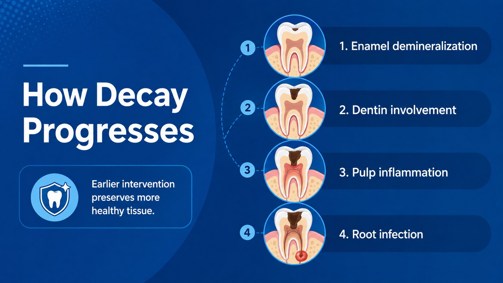 Dental Anatomy Lesson Deck presentation template, slide 12