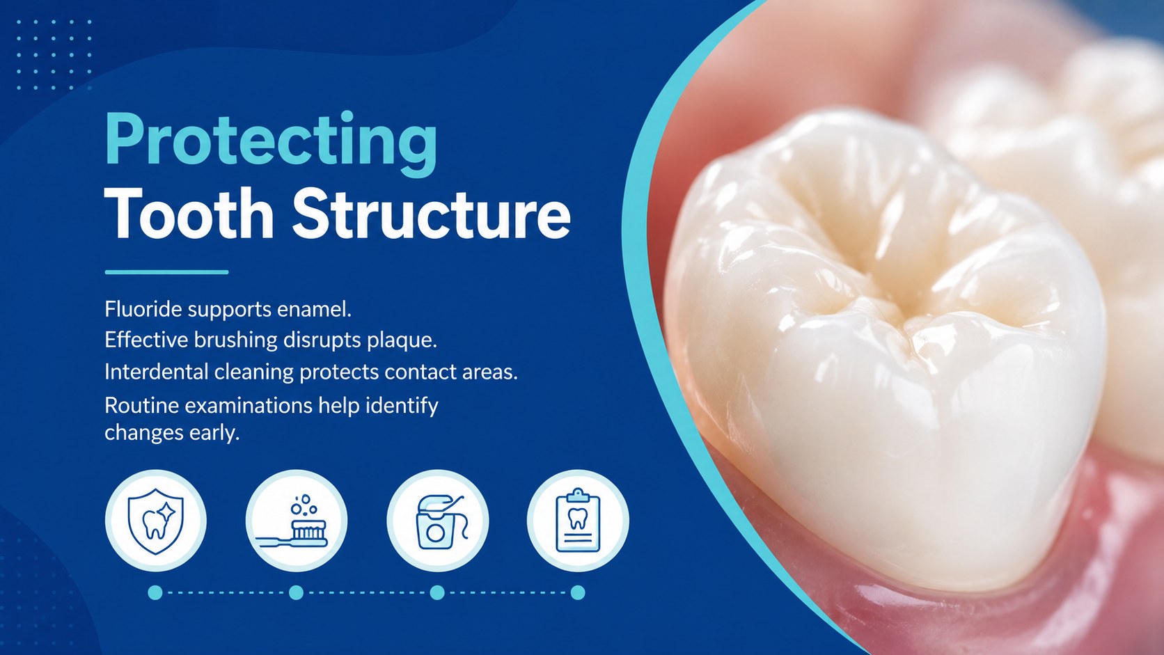 Dental Anatomy Lesson Deck presentation template, slide 13