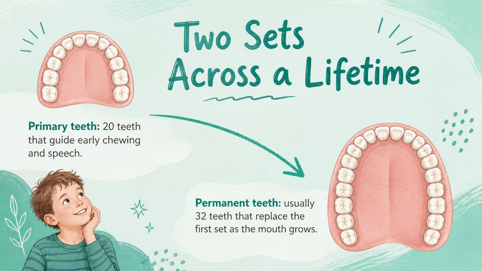 Dental Anatomy Lesson Slides presentation template, slide 10