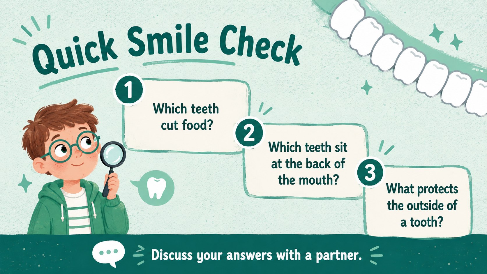 Dental Anatomy Lesson Slides presentation template, slide 14