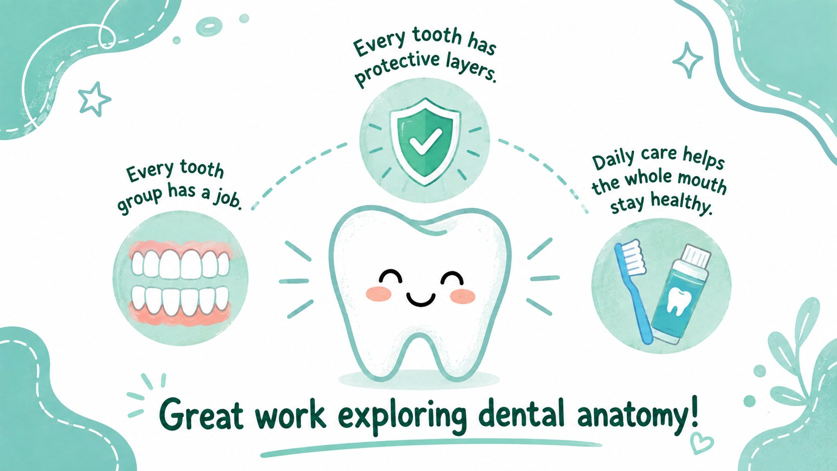 Dental Anatomy Lesson Slides presentation template, slide 15