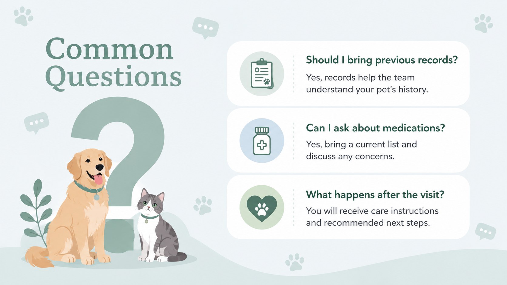 Friendly Veterinary Practice Slides presentation template, slide 12