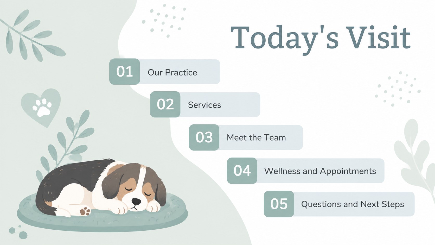 Friendly Veterinary Practice Slides presentation template, slide 13