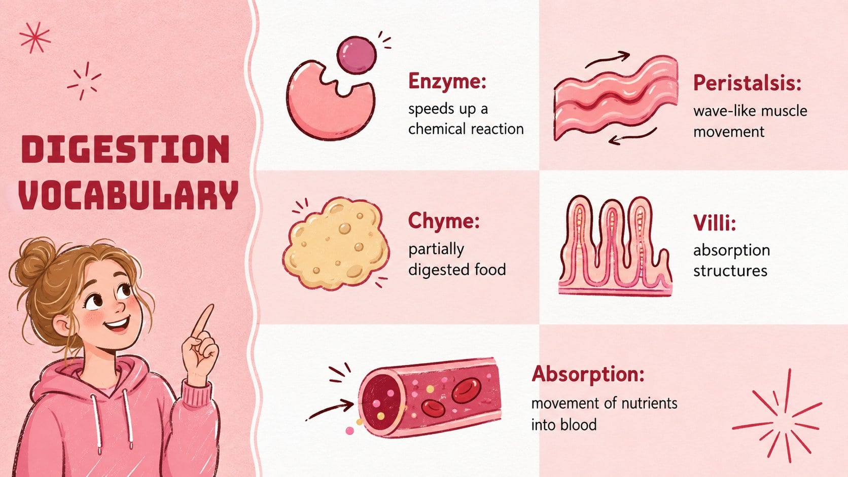 Human Digestion Lesson Slides presentation template, slide 14