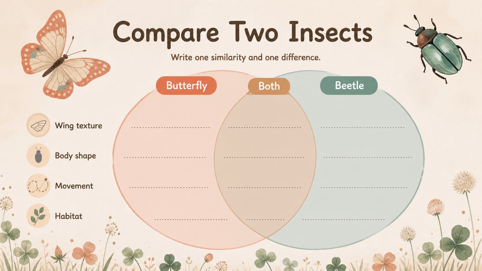 Insect Life Cycle Lesson Deck presentation template, slide 11