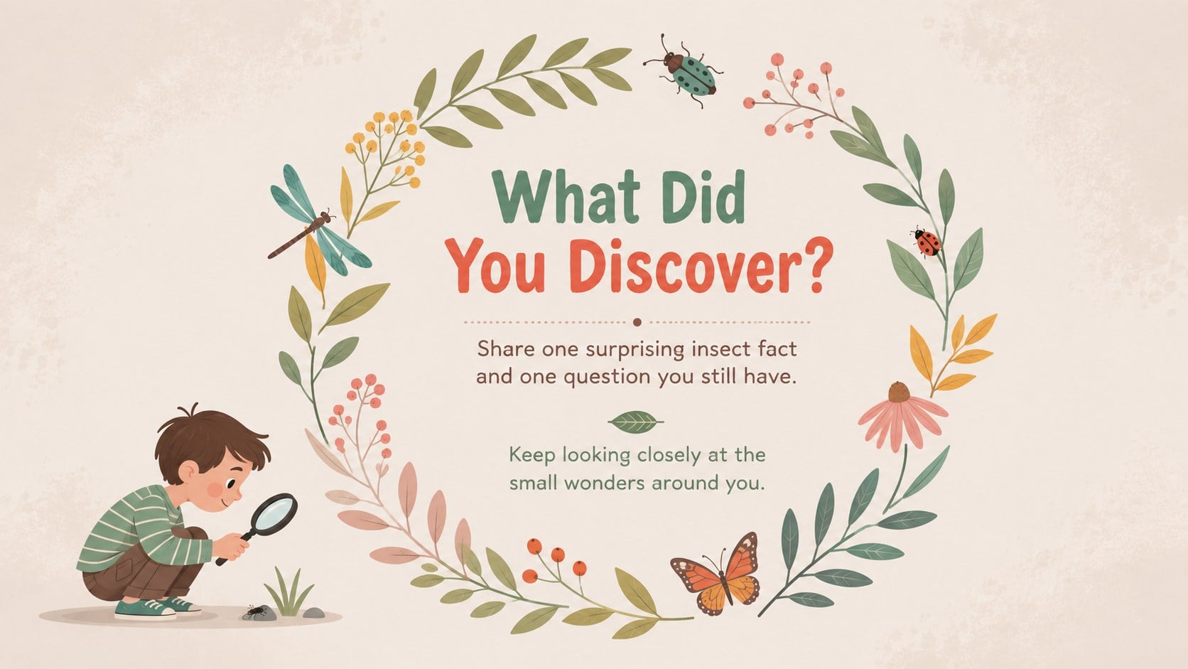 Insect Life Cycle Lesson Deck presentation template, slide 15