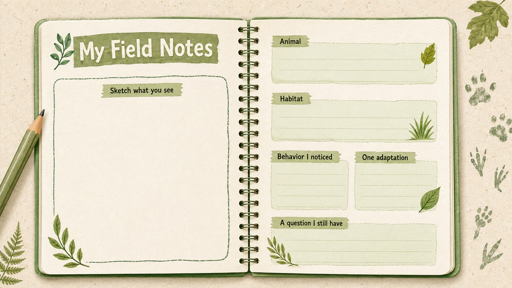 Jungle Zoo Adventure Lesson Deck presentation template, slide 12