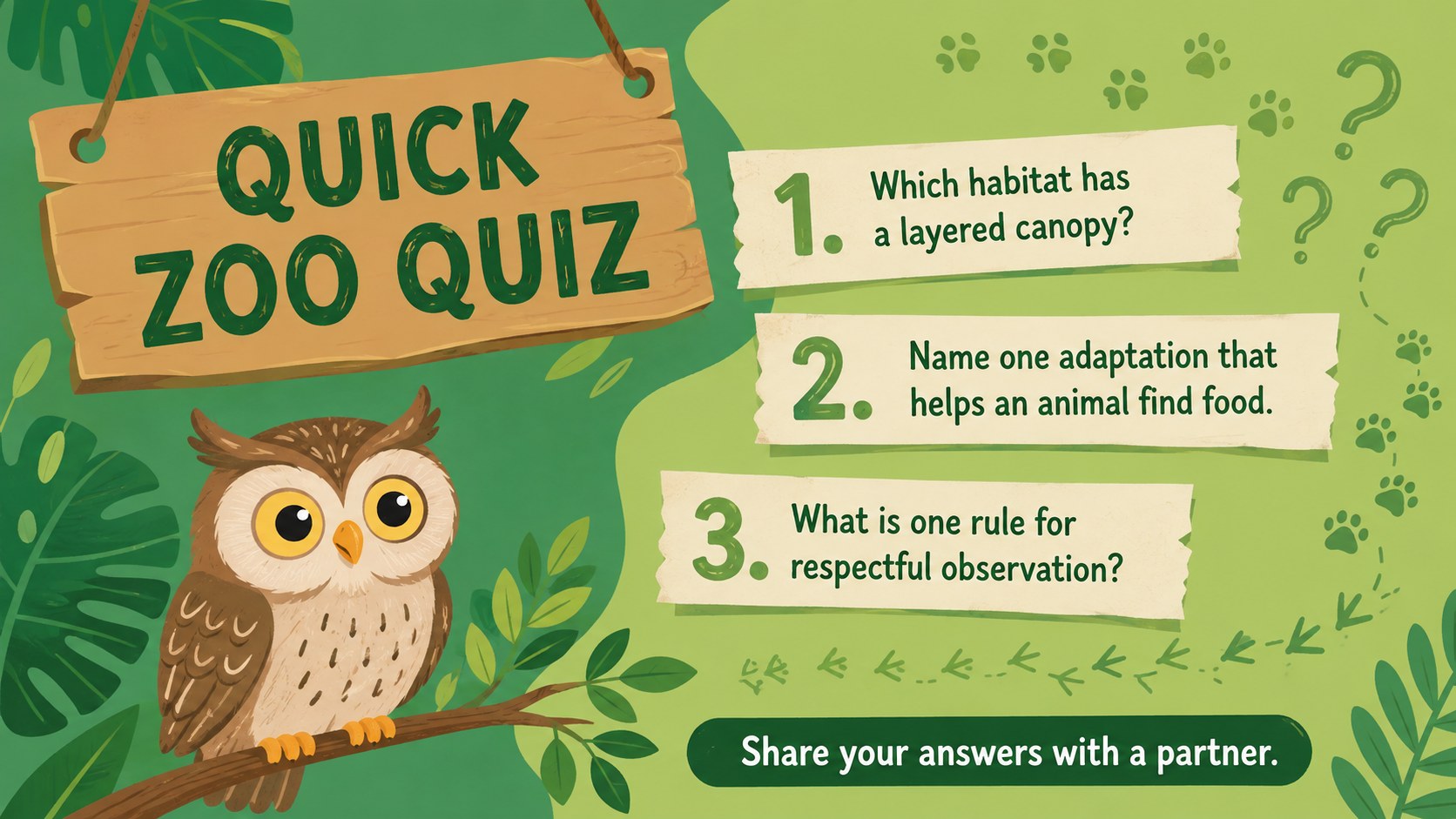 Jungle Zoo Adventure Lesson Deck presentation template, slide 14