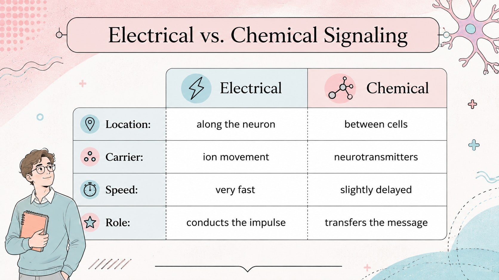 Modelo de apresentação Aula sobre Função Neural com Abordagem Moderna, slide 13