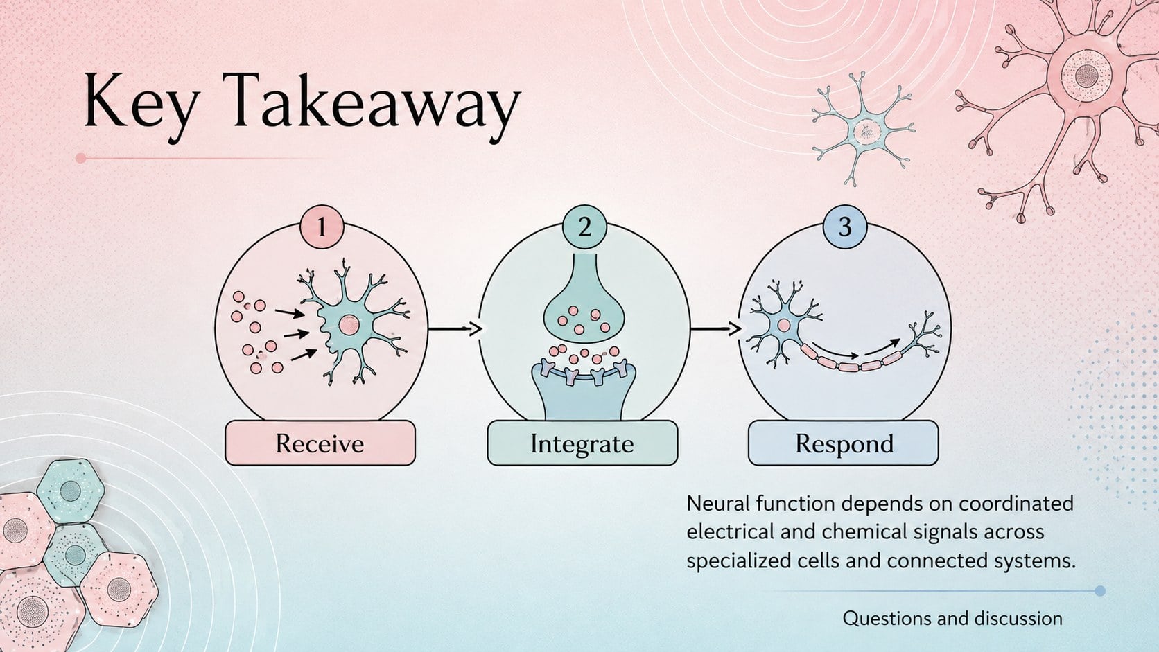 Modelo de apresentação Aula sobre Função Neural com Abordagem Moderna, slide 15