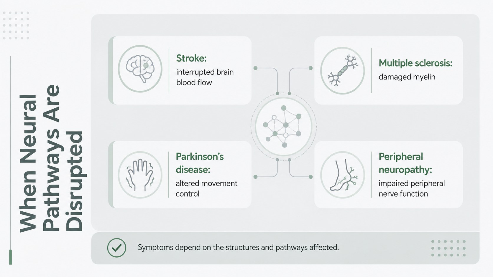 Neural Pathways Anatomy Deck presentation template, slide 11