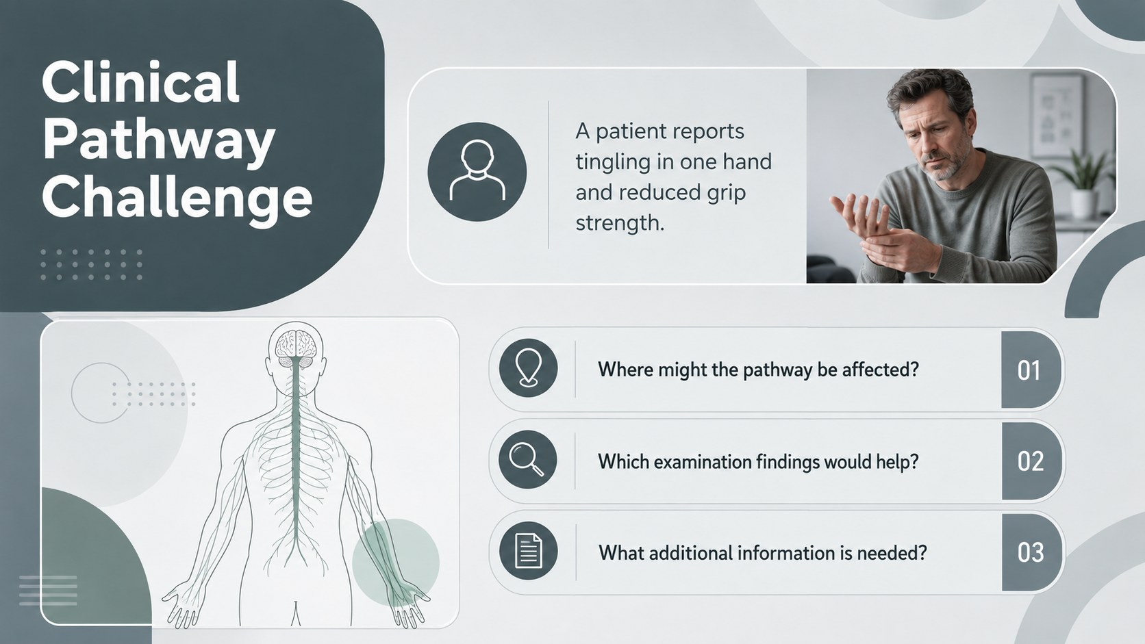 Neural Pathways Anatomy Deck presentation template, slide 13