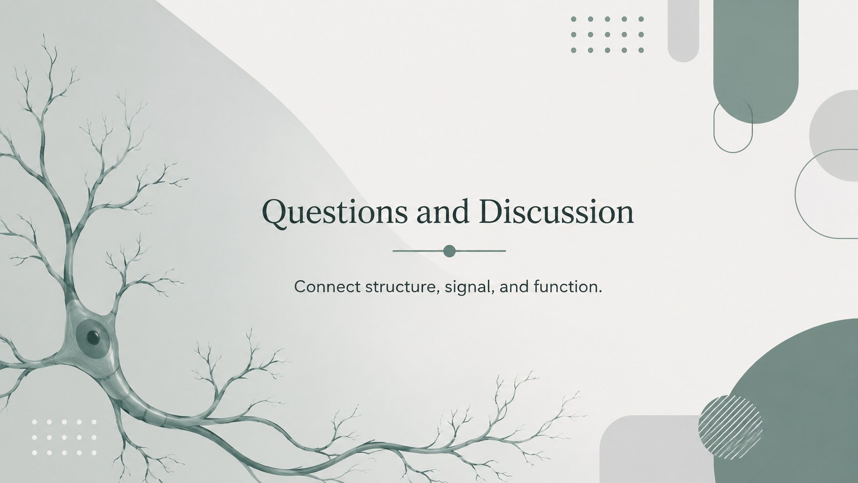 Neural Pathways Anatomy Deck presentation template, slide 15
