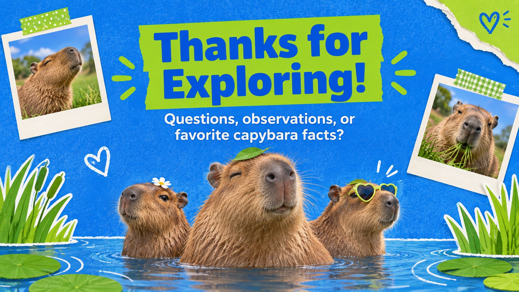 Modelo de apresentação Temática Ilustrada de Capivara, slide 15