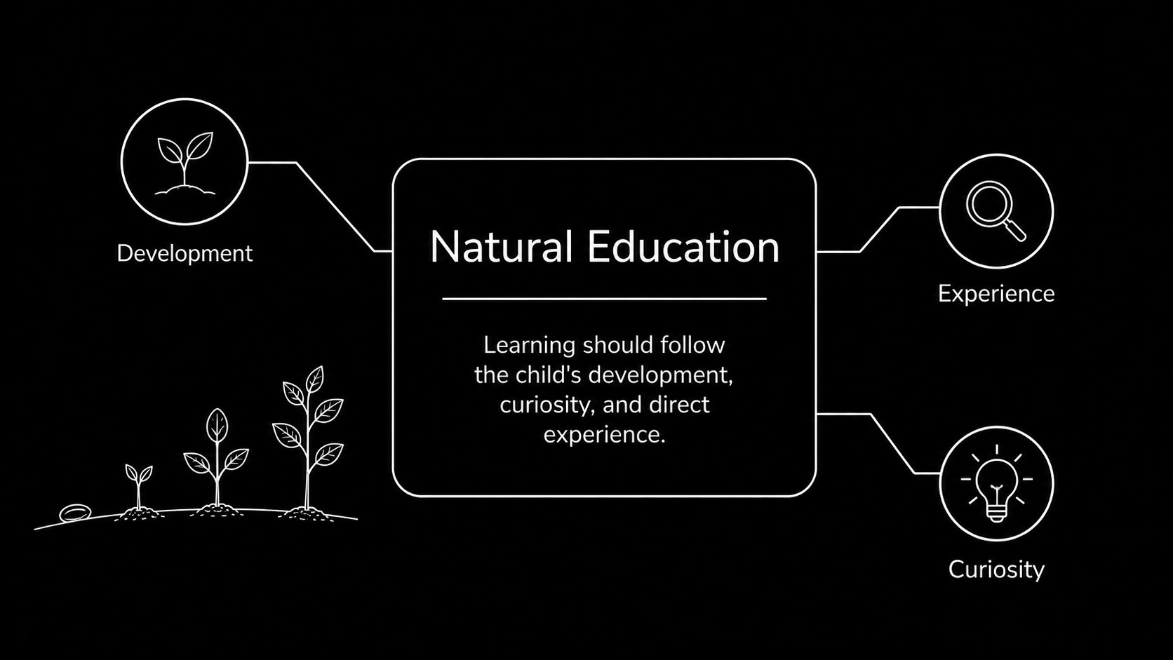Modelo de apresentação Teoria Educacional de Rousseau, slide 3