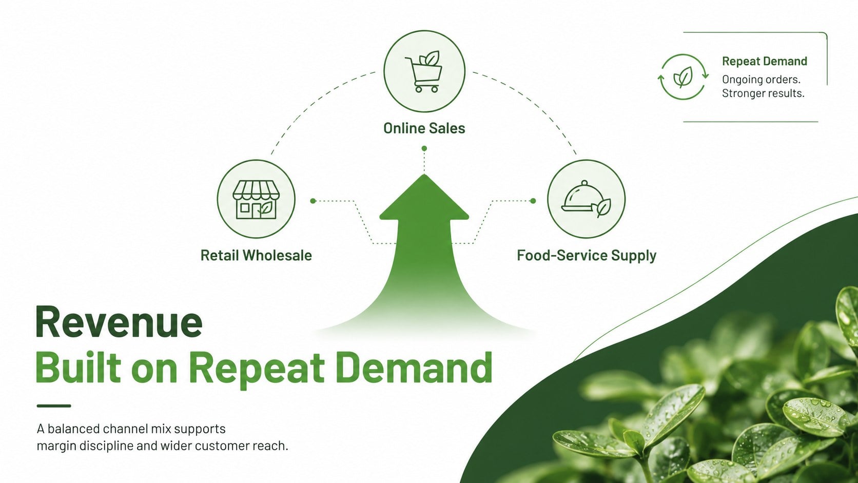 Sustainable Food Brand Investor Deck presentation template, slide 11