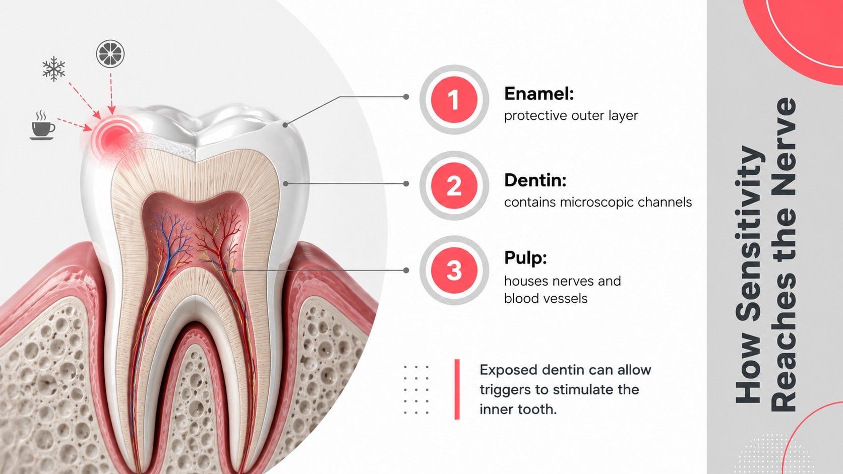 Modelo de apresentação Guia de Prevenção à Sensibilidade Dentária, slide 10